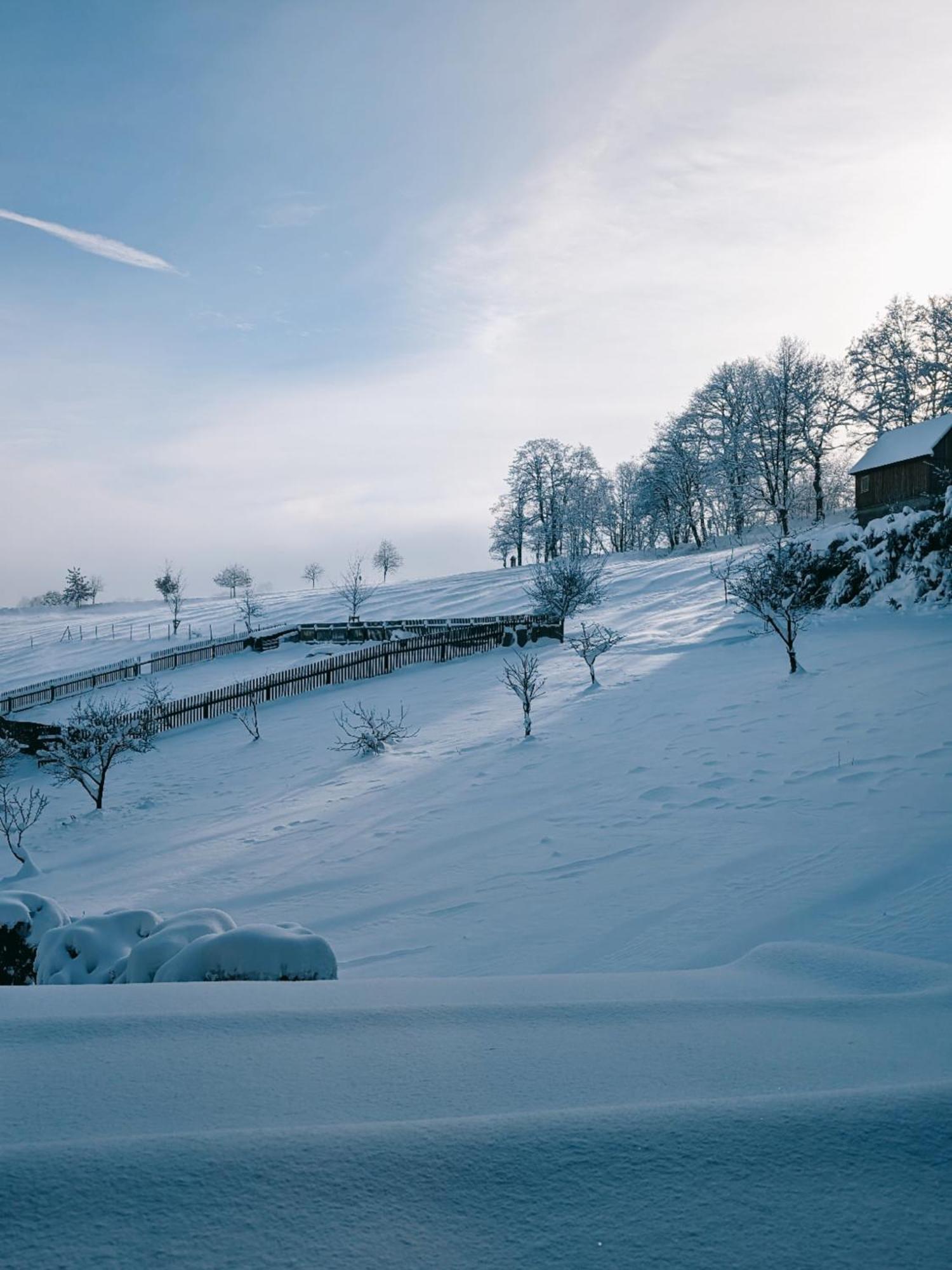 Landhaus Kurort Seiffen/Erzgebirge Exterior foto